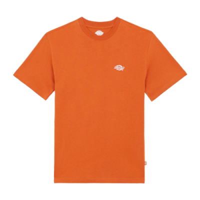 T-Shirts Männer Dickies Summerdale Tee DK0A4YAIC05 Orange