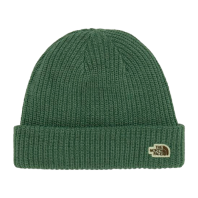 Mützen The North Face The North Face Salty Dog Beanie NF0A3FJWV1T-GRN Green